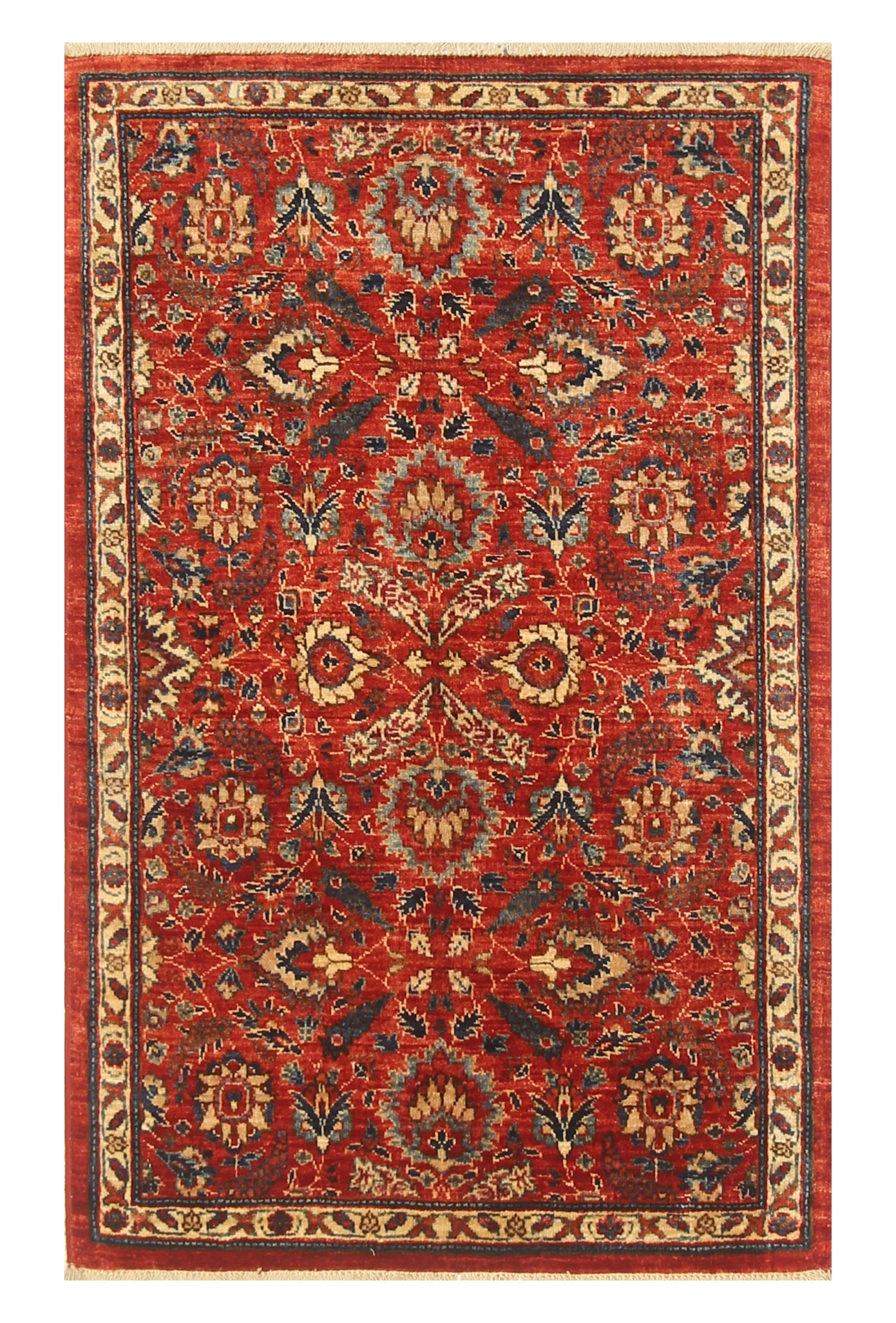 3x4 Red Herati Bidjar Afghan Hand knotted Rug