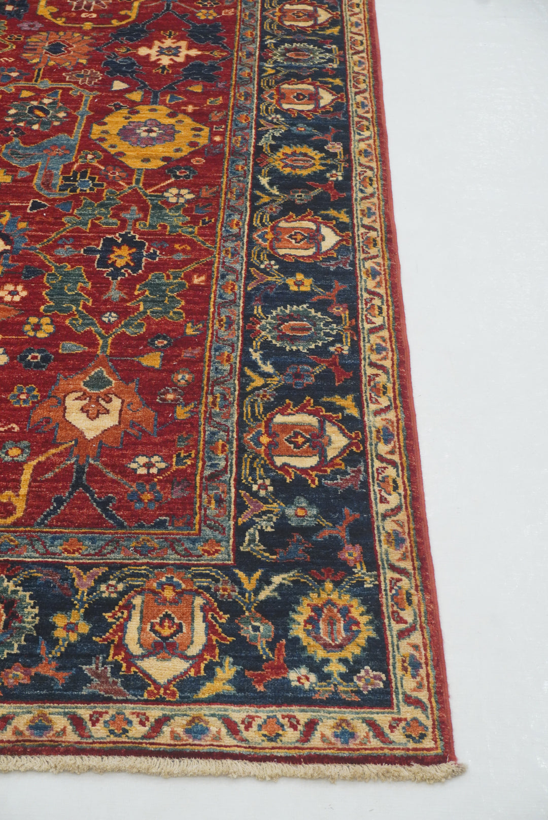 8x10 Red Bidjar Afghan Hand knotted Oriental Rug