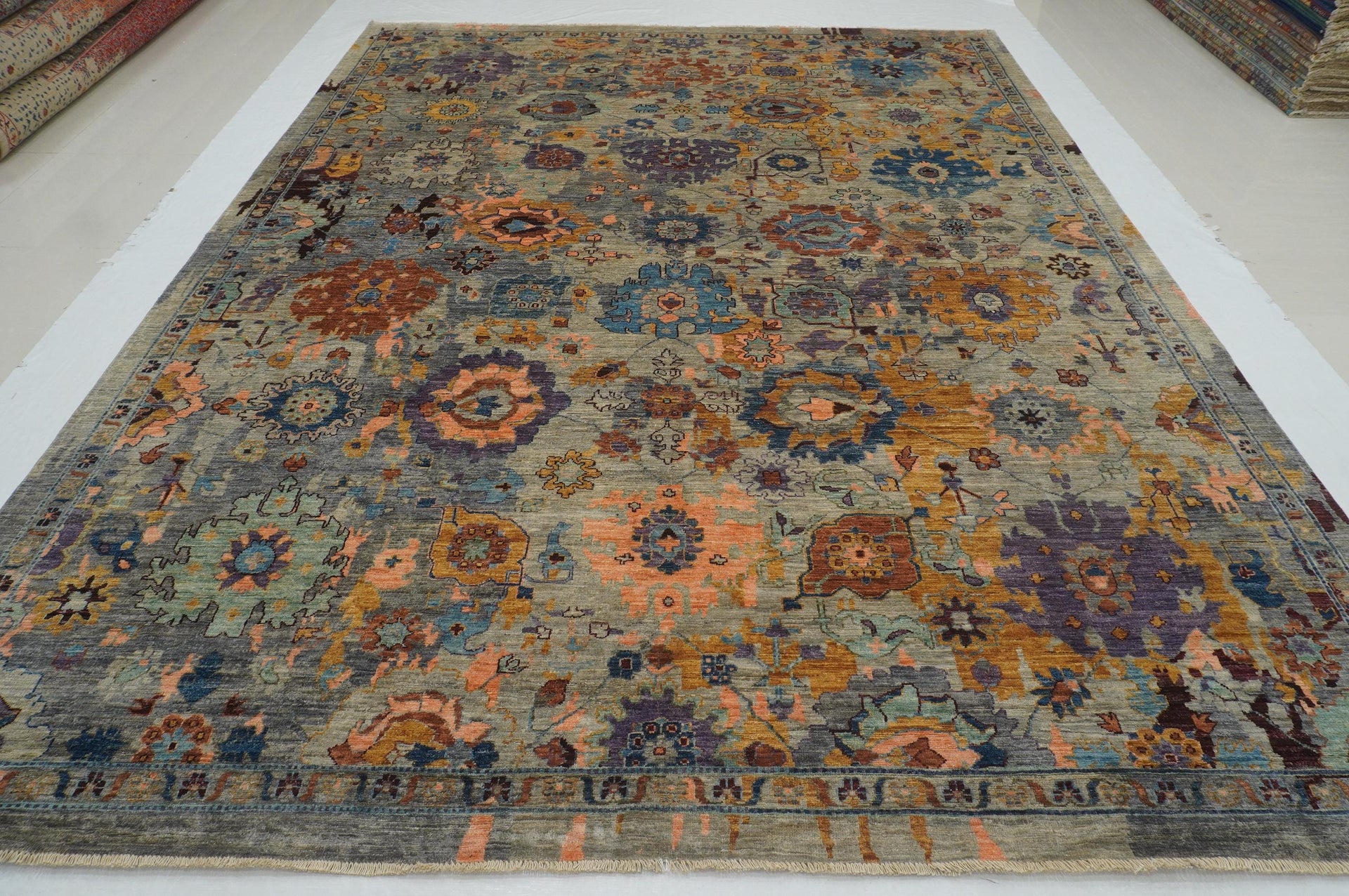 9x12 Gray Modern Bidjar Afghan Hand knotted Oriental Rug