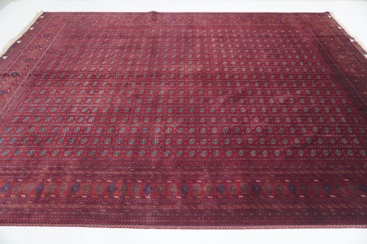 8x11 Khoja Roshnai Afghan High quality Hand Knotted Veg dye wool Rug - Yildiz Rugs